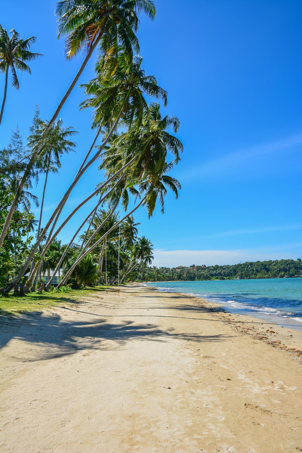 Bintan